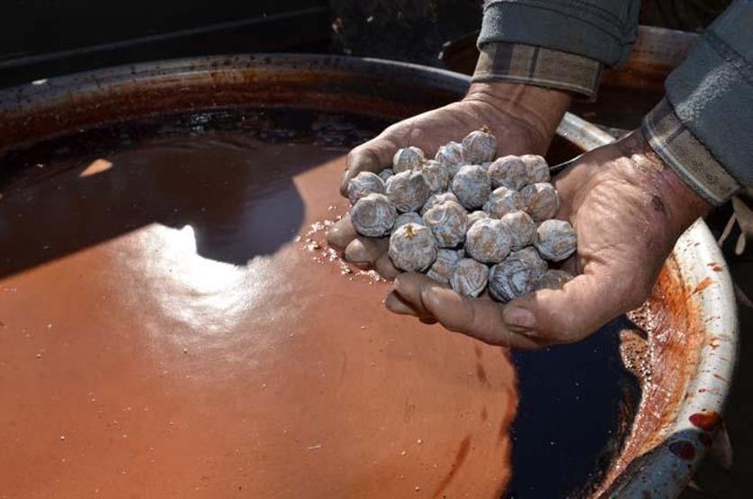 Doğal şifa kaynağı Toroslardan toplanıyor sadece pekmez olarak tüketiliyor
