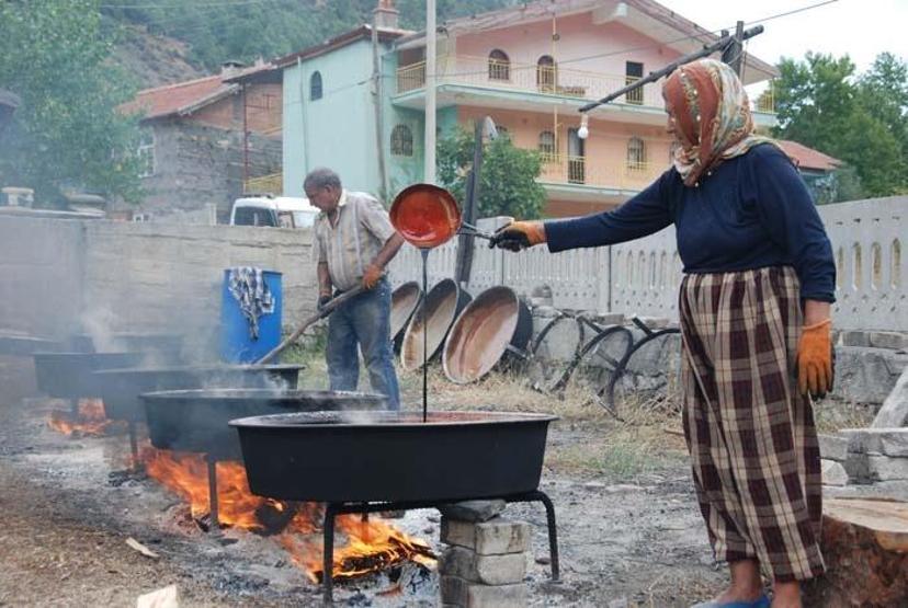 Doğal şifa kaynağı Toroslardan toplanıyor sadece pekmez olarak tüketiliyor