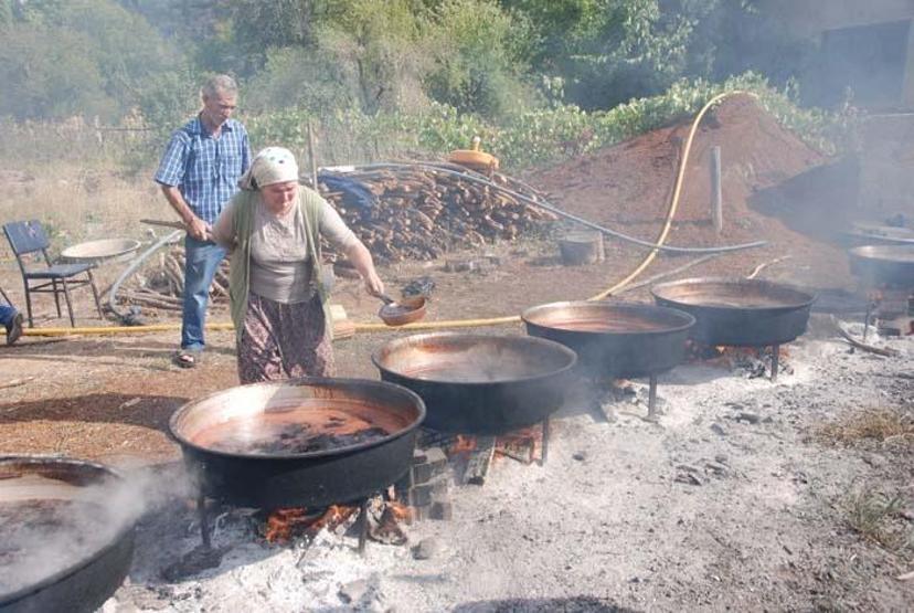 Doğal şifa kaynağı Toroslardan toplanıyor sadece pekmez olarak tüketiliyor