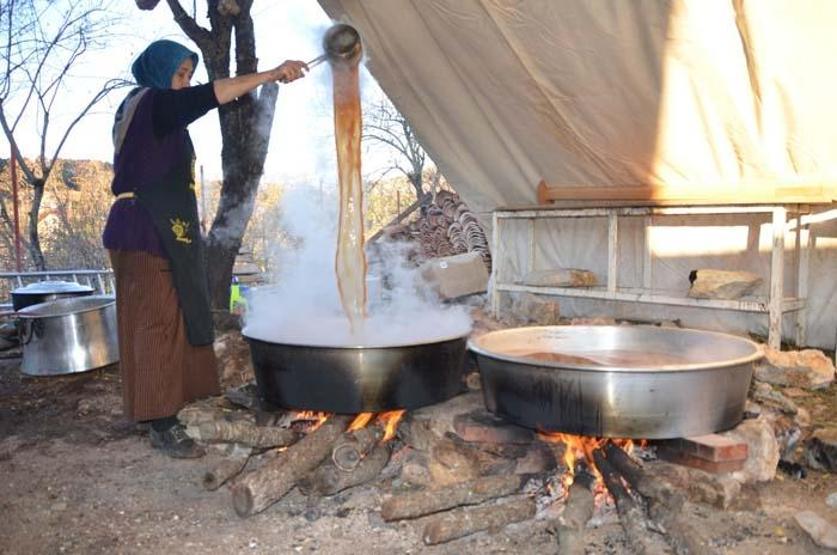 Doğal şifa kaynağı Toroslardan toplanıyor sadece pekmez olarak tüketiliyor