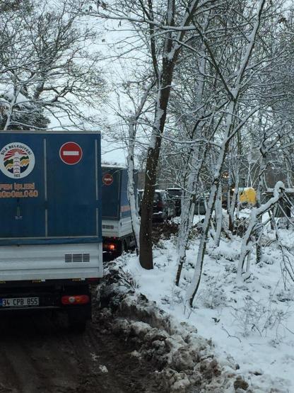 Şilede ahır çöktü: Hayvanlar enkaz altında kaldı