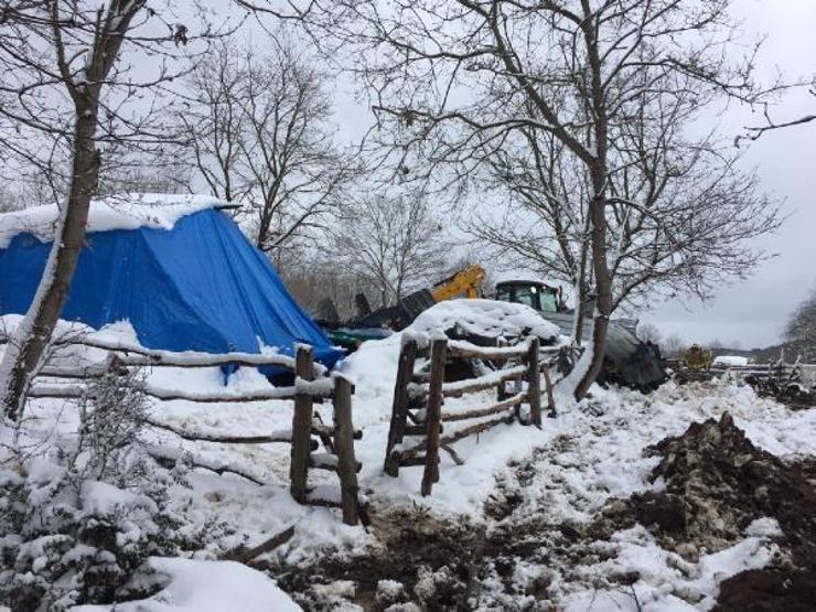 Şilede ahır çöktü: Hayvanlar enkaz altında kaldı