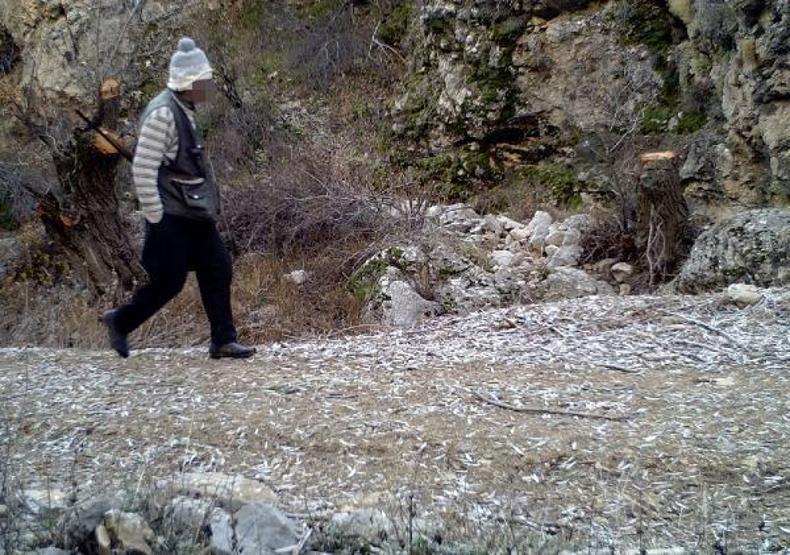 Yaban keçilerinin peşine düşen avcılar fotokapana yakalandı