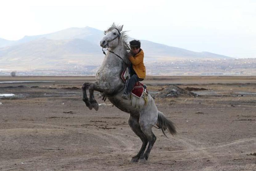 Fotoğraf tutkunlarının yeni gözdesi; Yılkı atlarıyla ünlü Hürmetçi Sazlığı
