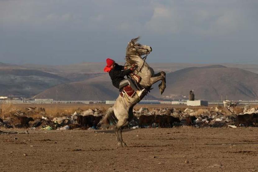 Fotoğraf tutkunlarının yeni gözdesi; Yılkı atlarıyla ünlü Hürmetçi Sazlığı
