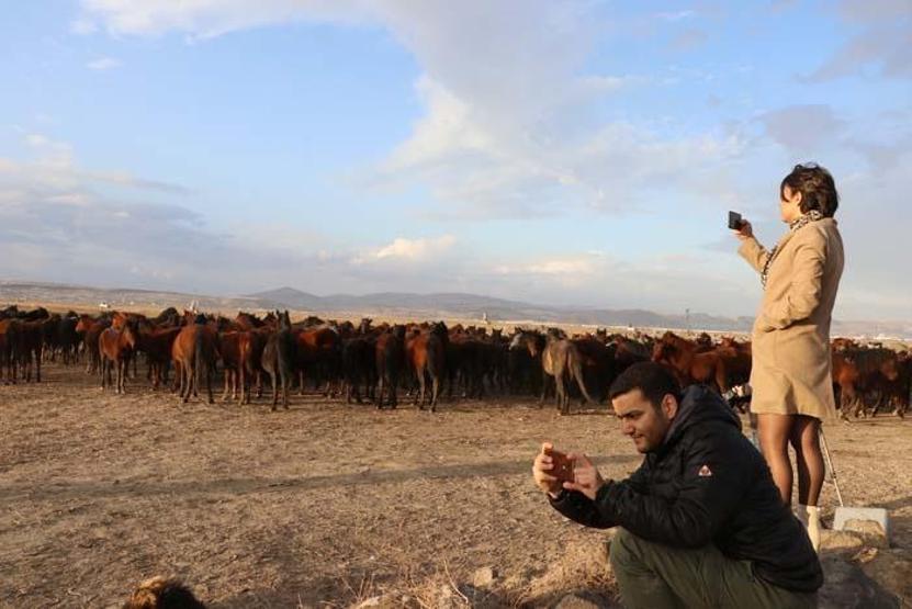 Fotoğraf tutkunlarının yeni gözdesi; Yılkı atlarıyla ünlü Hürmetçi Sazlığı
