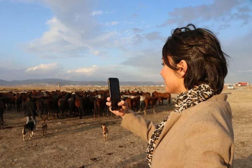 Fotoğraf tutkunlarının yeni gözdesi; Yılkı atlarıyla ünlü Hürmetçi Sazlığı