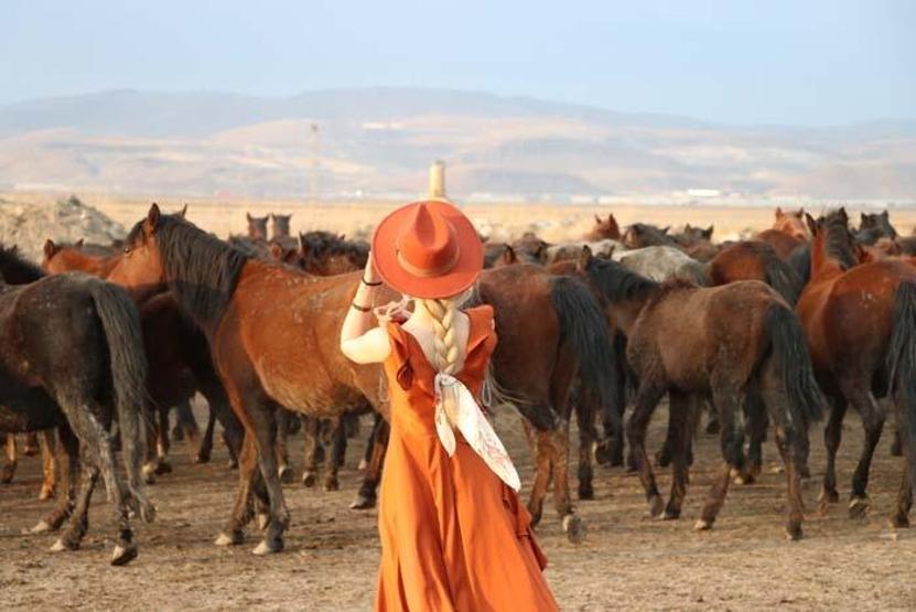 Fotoğraf tutkunlarının yeni gözdesi; Yılkı atlarıyla ünlü Hürmetçi Sazlığı