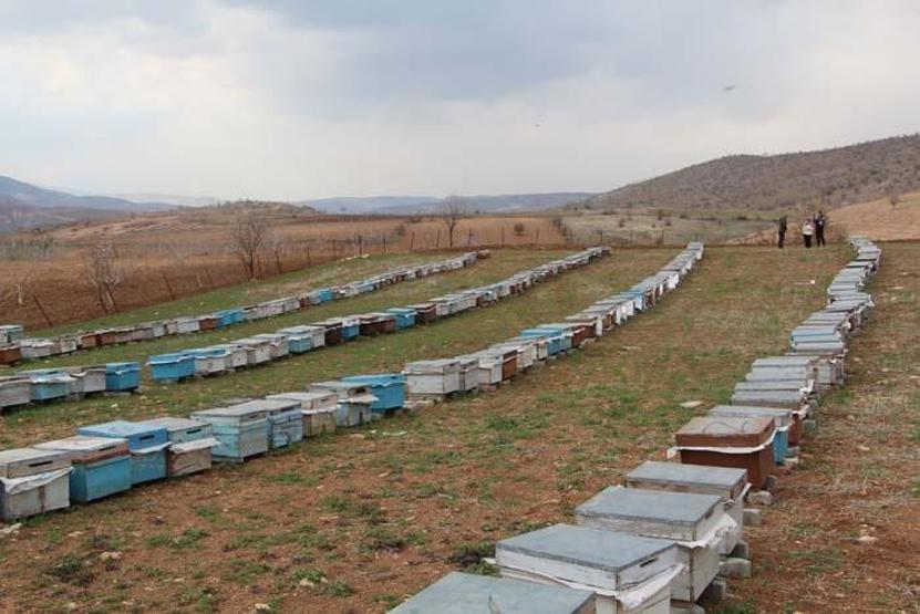 40 kovanla başladığı arıcılıkta 300 kovana ulaşan kadın girişimci markalaşmayı amaçlıyor