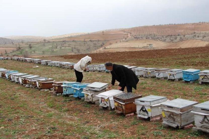 40 kovanla başladığı arıcılıkta 300 kovana ulaşan kadın girişimci markalaşmayı amaçlıyor