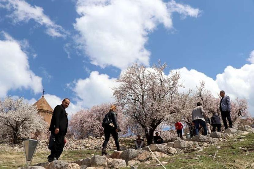 Akdamar Adasında ilkbahar güzelliği Ziyaretçi akınına uğruyor