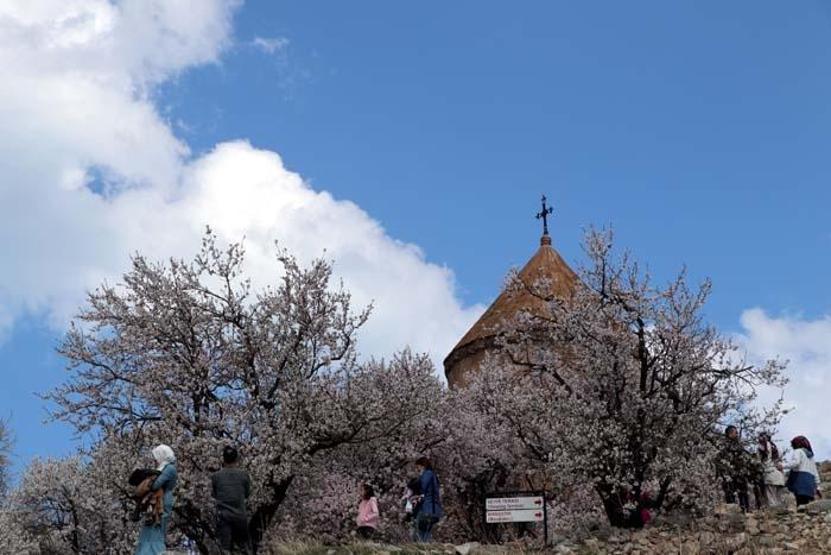 Akdamar Adasında ilkbahar güzelliği Ziyaretçi akınına uğruyor