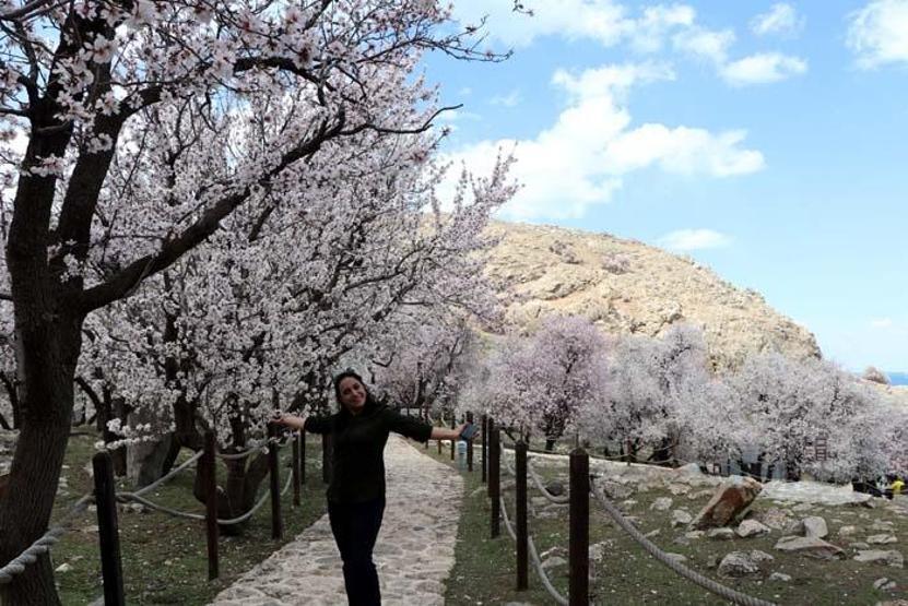 Akdamar Adasında ilkbahar güzelliği Ziyaretçi akınına uğruyor