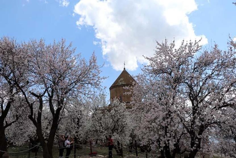 Akdamar Adasında ilkbahar güzelliği Ziyaretçi akınına uğruyor