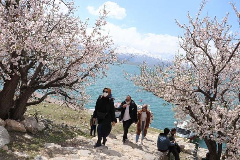 Akdamar Adasında ilkbahar güzelliği Ziyaretçi akınına uğruyor