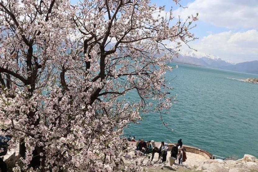 Akdamar Adasında ilkbahar güzelliği Ziyaretçi akınına uğruyor