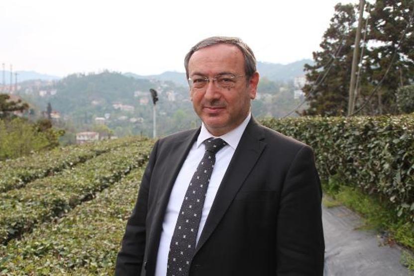 Doğu Karadeniz’e çay işçisi göçü başladı