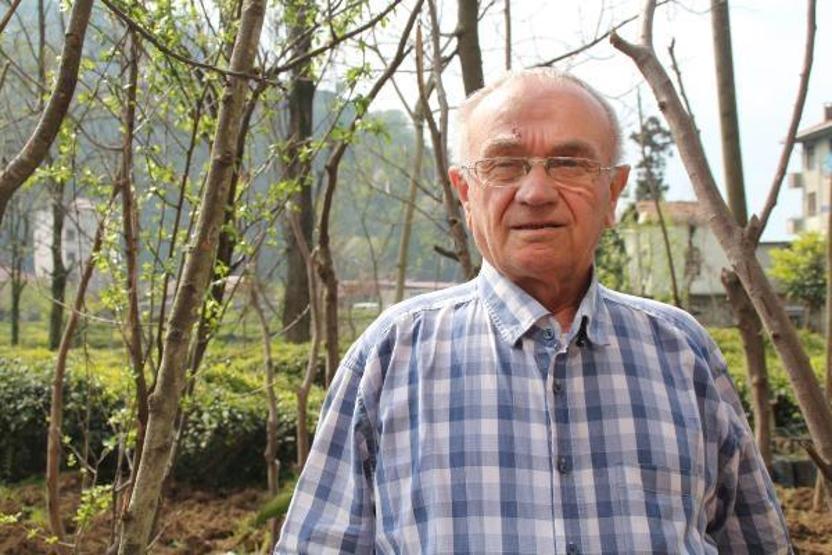 Doğu Karadeniz’e çay işçisi göçü başladı
