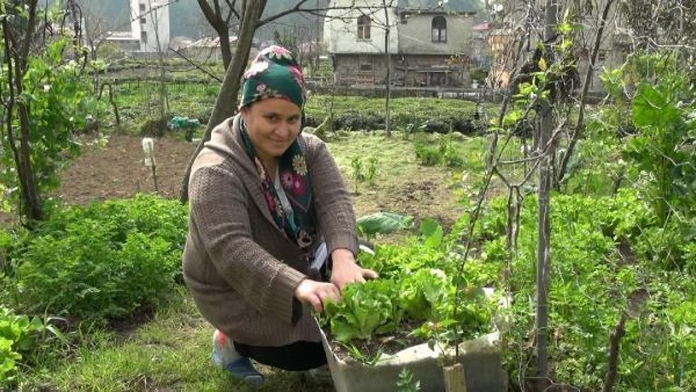 Doğu Karadeniz’e çay işçisi göçü başladı