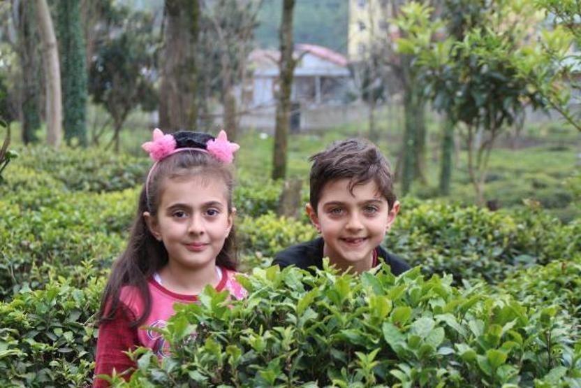 Doğu Karadeniz’e çay işçisi göçü başladı