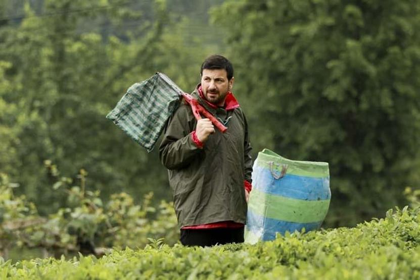 Davut Güloğlu köy hayatına döndü Çay toplayıp, stres atıyor