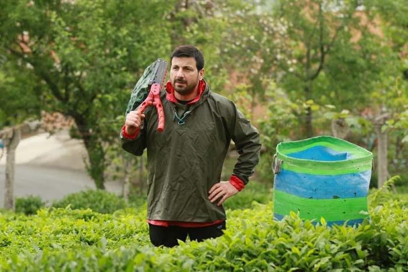 Davut Güloğlu köy hayatına döndü Çay toplayıp, stres atıyor