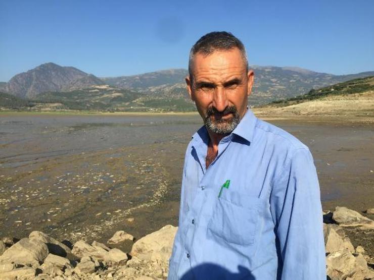 Suyun tahliye edildiği barajdan balık ölülerini sepetlerle topladılar