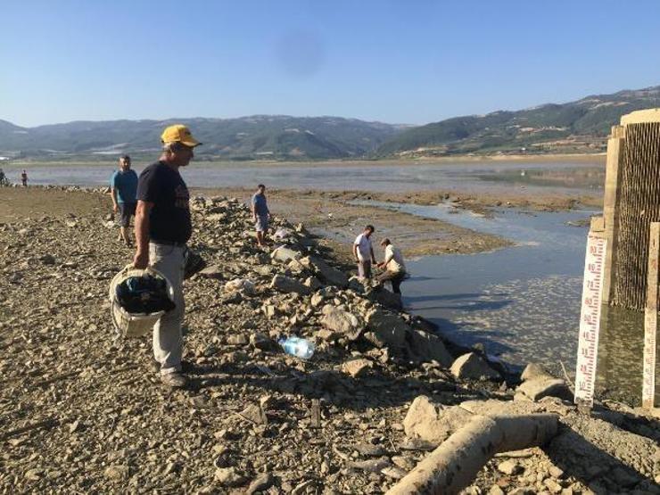 Suyun tahliye edildiği barajdan balık ölülerini sepetlerle topladılar