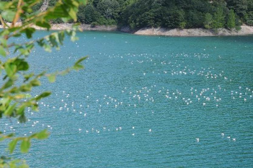 Yuvacık Barajı ve Sapanca Gölünde su seviyesi korundu