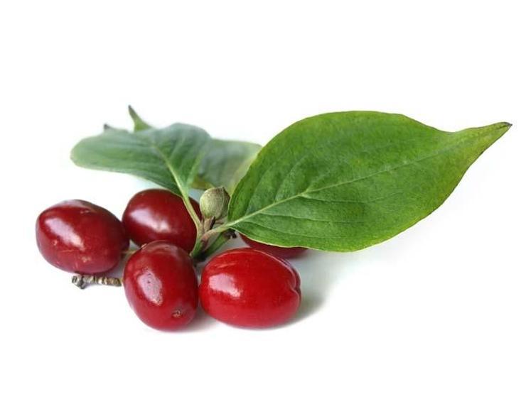 Kızılcığın faydaları saymakla bitmiyor
