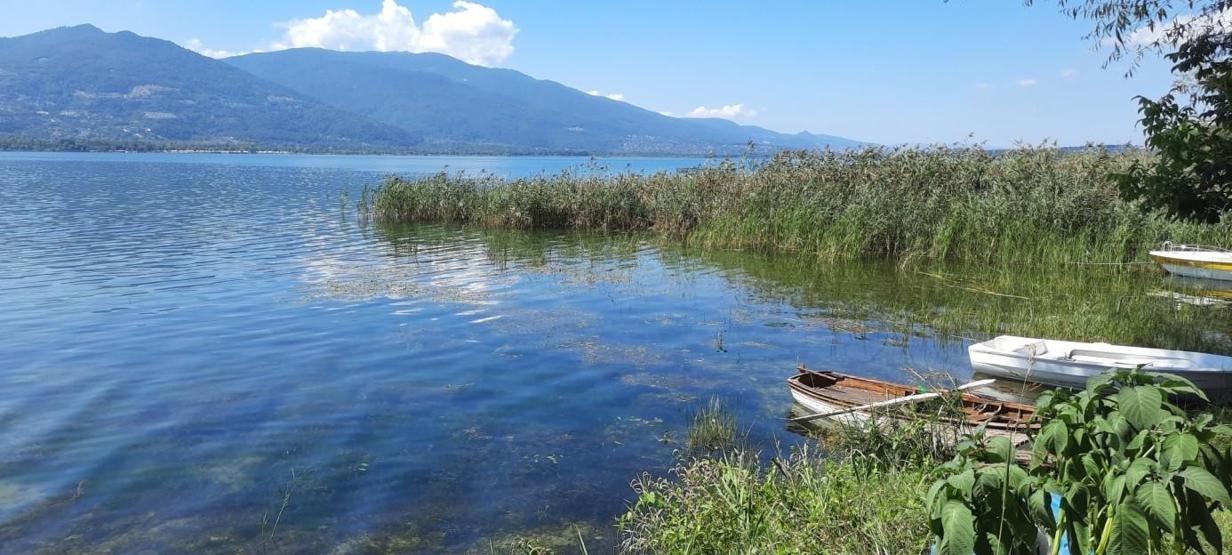 Sonbaharda Günübirlik Rotalar: Sapanca-Maşukiye-Ormanya