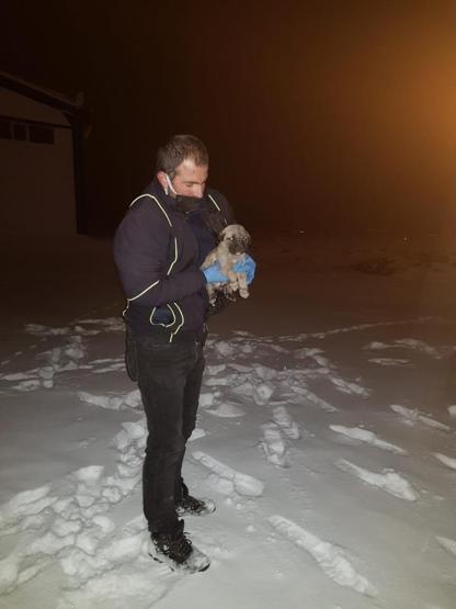 63 yavru köpek son anda ölümden kurtarıldı