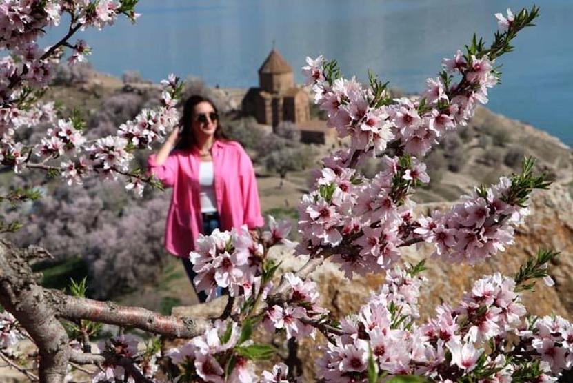 Çiçeklerle kaplanan Akdamar Adasına fotoğrafçı akını