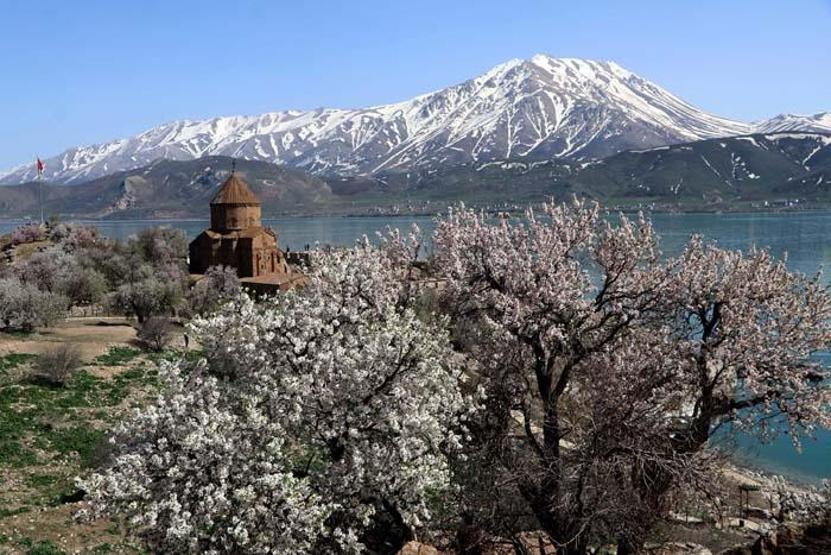 Çiçeklerle kaplanan Akdamar Adasına fotoğrafçı akını