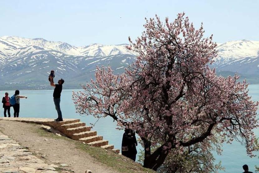 Çiçeklerle kaplanan Akdamar Adasına fotoğrafçı akını