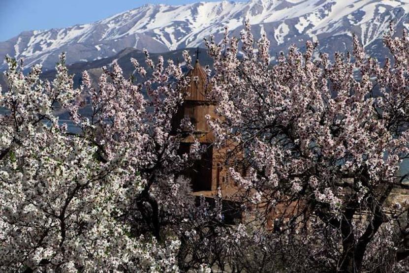 Çiçeklerle kaplanan Akdamar Adasına fotoğrafçı akını