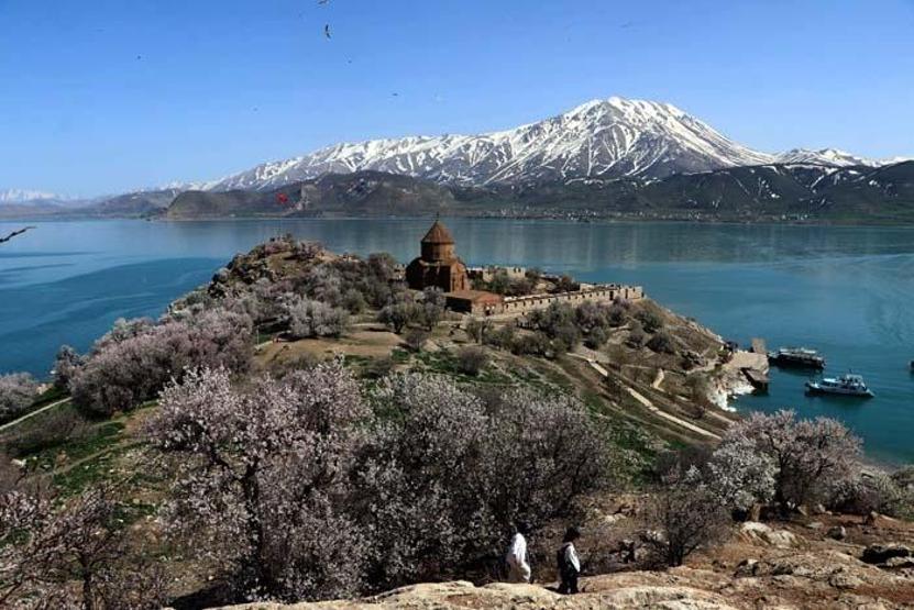 Çiçeklerle kaplanan Akdamar Adasına fotoğrafçı akını