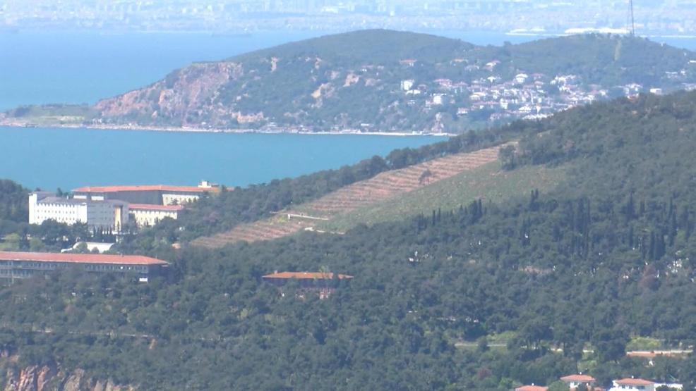 Heybeliadada yanan alanlar yeşile dönmeye başladı