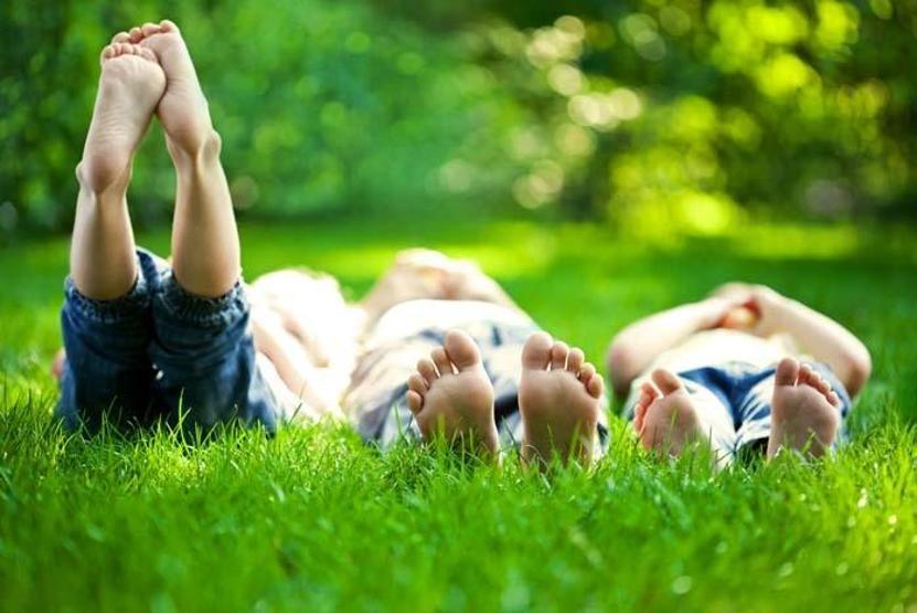 Alerjik hastalığı olanlara ‘polen’ uyarısı