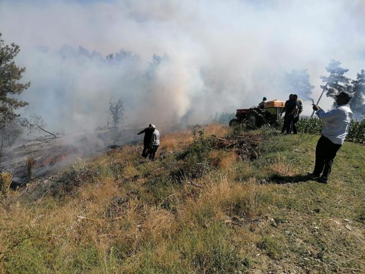 Manisa'da orman yangını çıktı