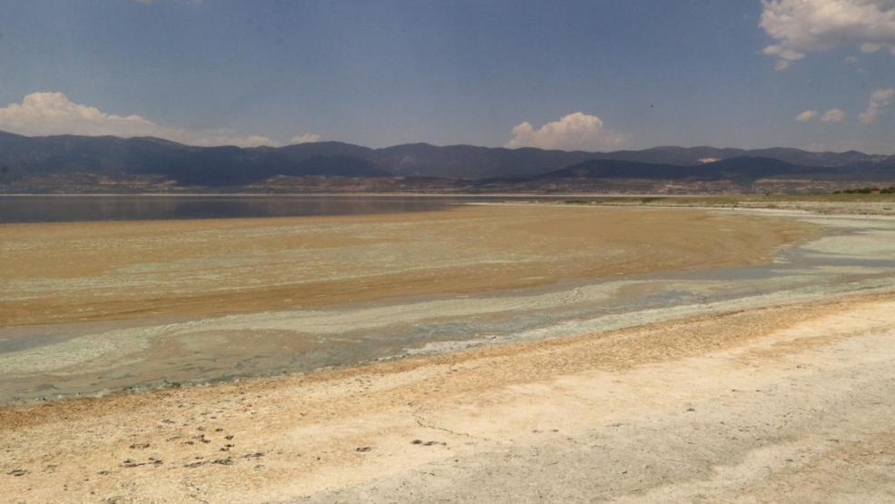 Burdur Gölünde alg patlaması: Suyun rengi değişti