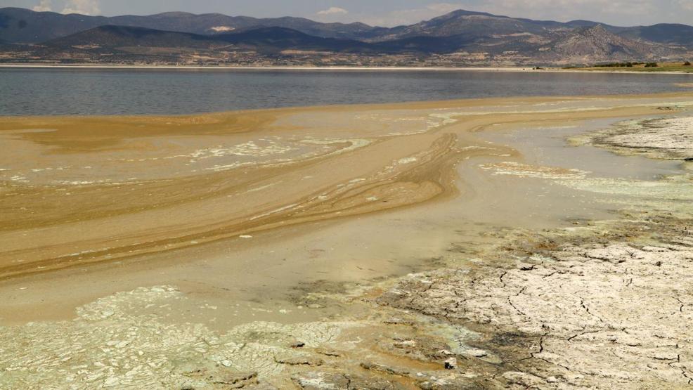 Burdur Gölünde alg patlaması: Suyun rengi değişti