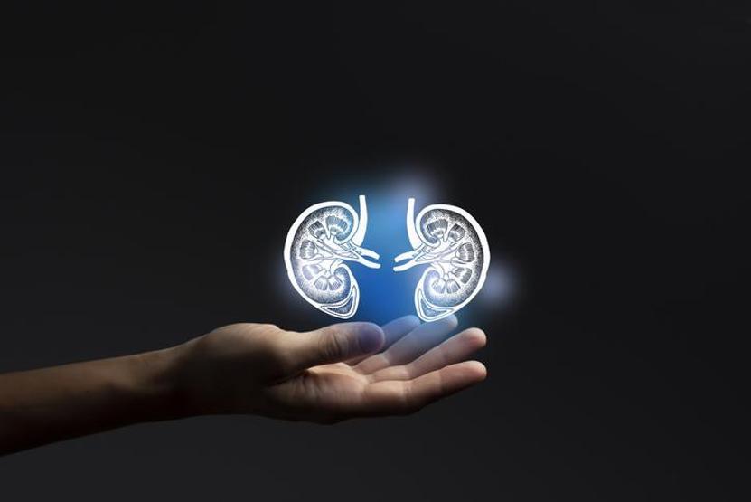 Bilim insanları ilk kez organ naklinde kullanılacak böbreklerin kan grubunu değiştirdi