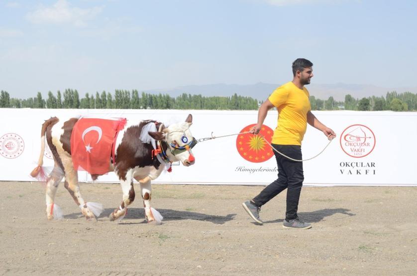Malazgirt Zaferi’nin 951’inci yıl dönümü kutlamaları başladı