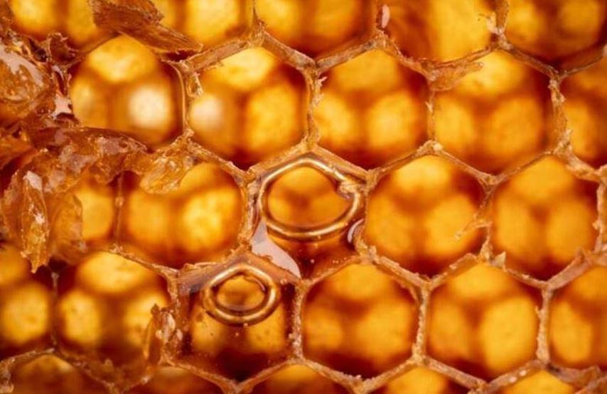 Yüksek protein kaynağı arı poleni Faydaları saymakla bitmiyor