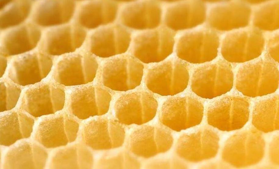 Yüksek protein kaynağı arı poleni Faydaları saymakla bitmiyor