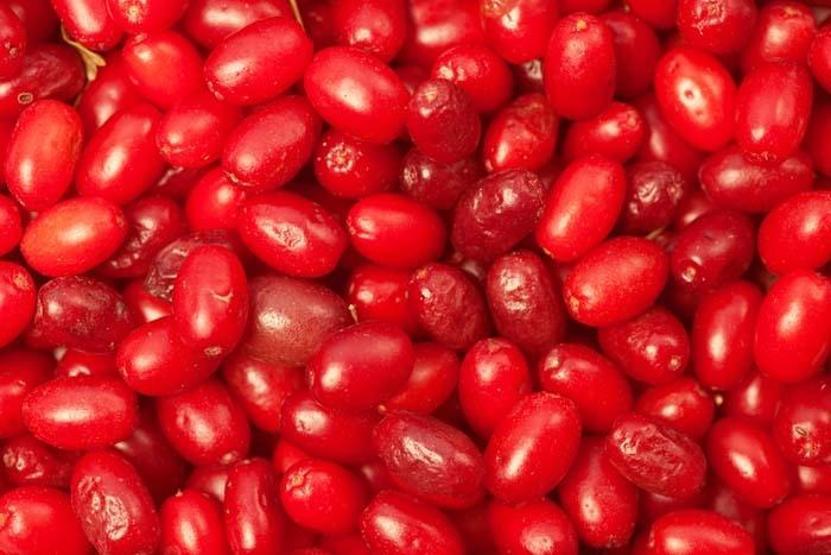 Şeker hastalığından iltihaplı yaralara iyi gelmediği şey yok Sonbaharın kırmızısı şifa kaynağı kızılcık, pazar tezgahlarında