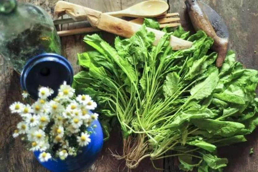 Her sofrada mutlaka olmalı: Düzenli tüketildiğinde kanser riskini sıfıra indiriyor