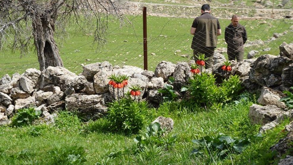 Köylülerin ters lale nöbeti