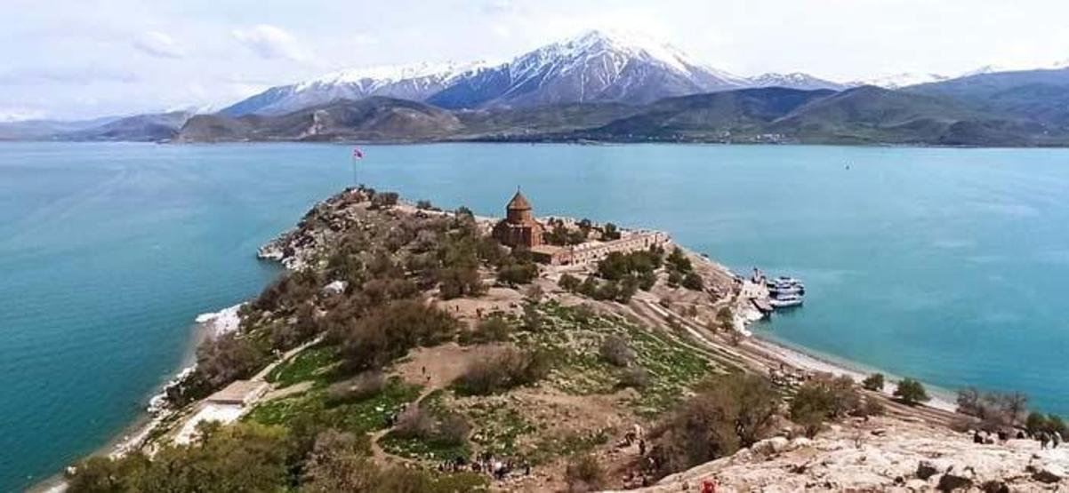 Zerrinkadeh çiçekleri ve terslaleler doğal fotoğraf stüdyosu oldu